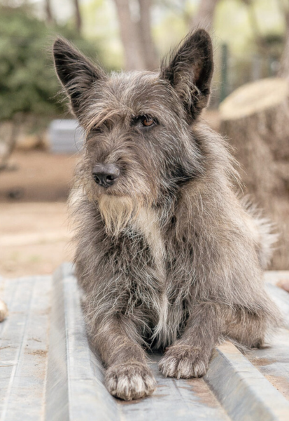 Yuma