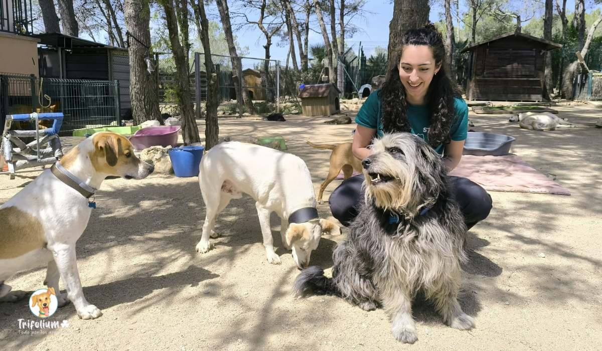 Laura, nueva técnica de proyectos sociales